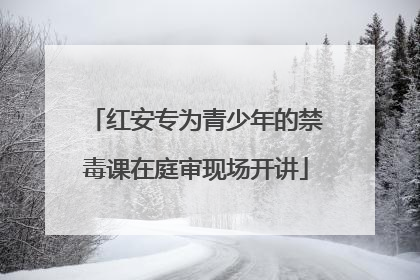 红安专为青少年的禁毒课在庭审现场开讲