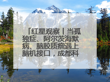 红星观察丨当孤独症、阿尔茨海默病、脑胶质瘤遇上脑机接口，成都科研改变医学图景
