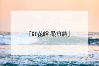 红花峪 桑葚熟