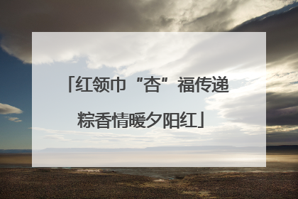 红领巾“杏”福传递 粽香情暖夕阳红