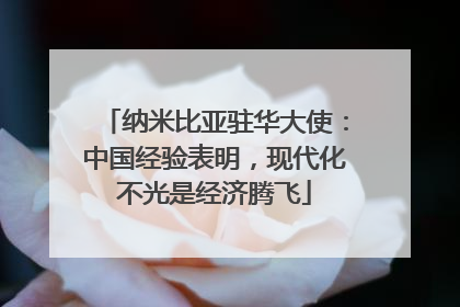 纳米比亚驻华大使：中国经验表明，现代化不光是经济腾飞