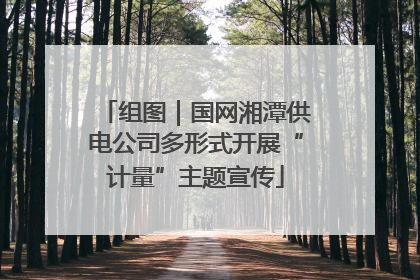 组图｜国网湘潭供电公司多形式开展“计量”主题宣传