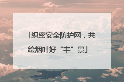 织密安全防护网，共绘烟叶好“丰”景