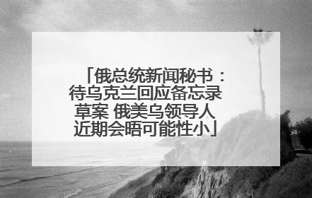 俄总统新闻秘书：待乌克兰回应备忘录草案 俄美乌领导人近期会晤可能性小