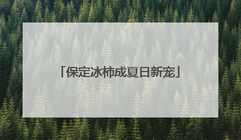 保定冰柿成夏日新宠
