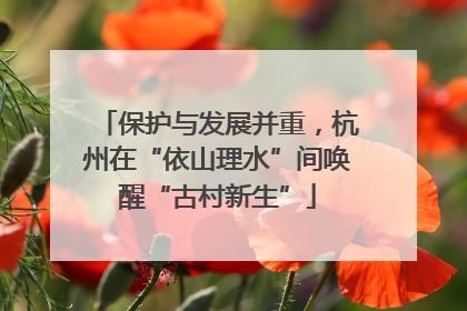 保护与发展并重，杭州在“依山理水”间唤醒“古村新生”