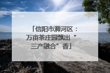 信阳市浉河区：万亩茶庄园飘出“三产融合”香