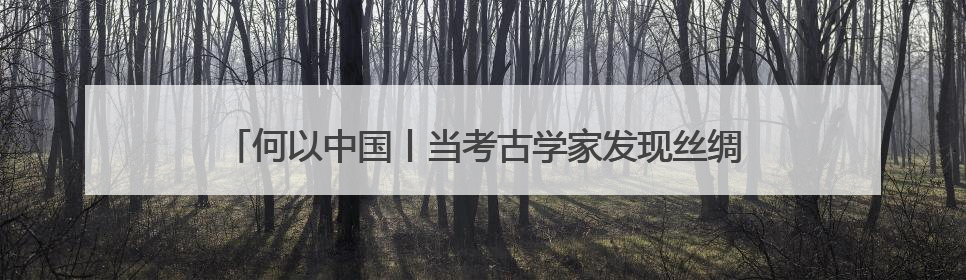 何以中国丨当考古学家发现丝绸之路“复制粘贴”版驼夫……
