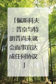 佩斯科夫：普京与特朗普尚未就会面事宜达成任何协议