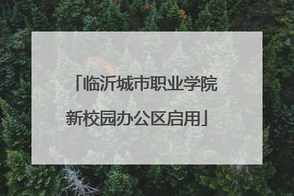 临沂城市职业学院新校园办公区启用