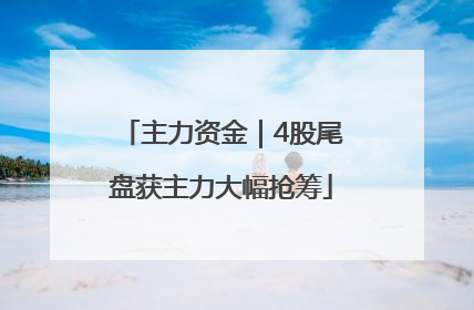 主力资金｜4股尾盘获主力大幅抢筹