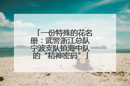 一份特殊的花名册：武警浙江总队宁波支队镇海中队的“精神密码”