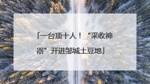 一台顶十人！“采收神器”开进邹城土豆地