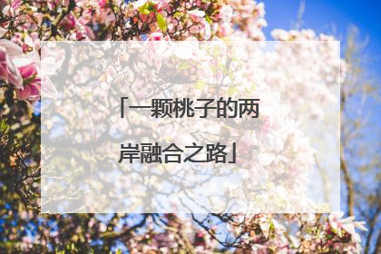 一颗桃子的两岸融合之路