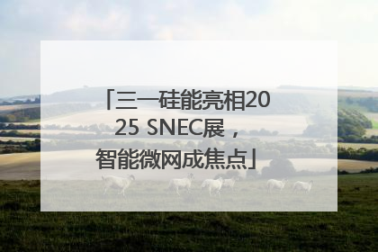 三一硅能亮相2025 SNEC展，智能微网成焦点