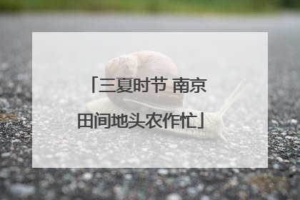 三夏时节 南京田间地头农作忙