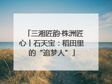 三湘匠韵·株洲匠心丨石天宝：稻田里的“追梦人”
