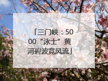 三门峡：5000“泳士”黄河碧波竞风流