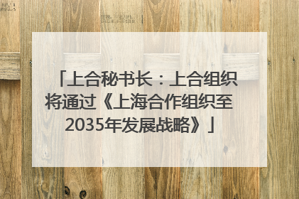 上合秘书长：上合组织将通过《上海合作组织至2035年发展战略》
