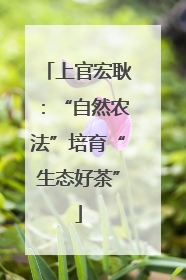 上官宏耿：“自然农法”培育“生态好茶”