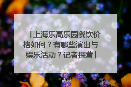 上海乐高乐园餐饮价格如何？有哪些演出与娱乐活动？记者探营