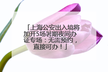 上海公安出入境将加开5场暑期夜间办证专场：无需预约，直接可办！