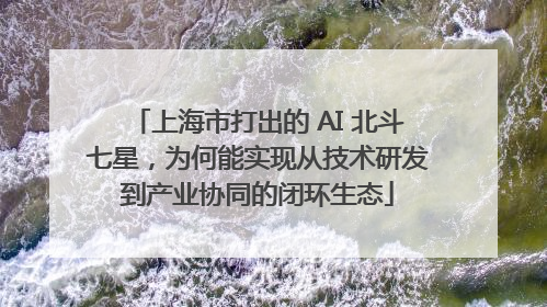 上海市打出的 AI 北斗七星，为何能实现从技术研发到产业协同的闭环生态