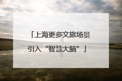 上海更多文旅场景引入“智慧大脑”