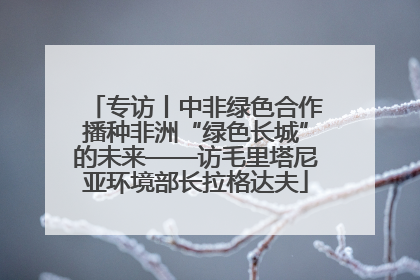 专访丨中非绿色合作播种非洲“绿色长城”的未来——访毛里塔尼亚环境部长拉格达夫