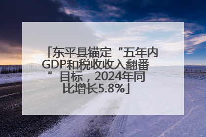 东平县锚定“五年内GDP和税收收入翻番”目标，2024年同比增长5.8%