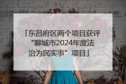 东昌府区两个项目获评“聊城市2024年度法治为民实事”项目
