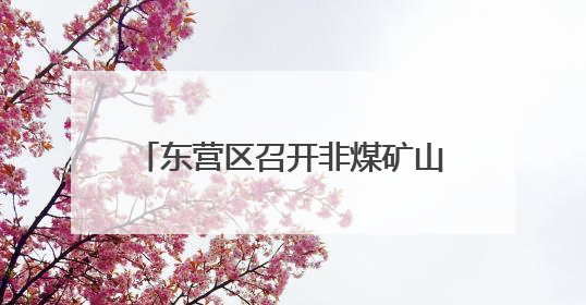 东营区召开非煤矿山、烟花爆竹批发企业主要负责人警示教育暨“面对面”谈话会议