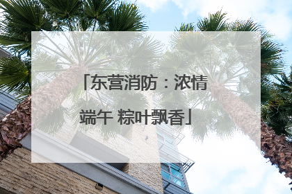 东营消防：浓情端午 粽叶飘香