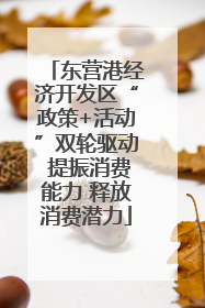 东营港经济开发区“政策+活动”双轮驱动 提振消费能力 释放消费潜力