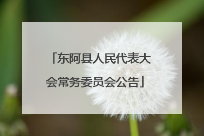 东阿县人民代表大会常务委员会公告