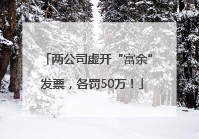 两公司虚开“富余”发票，各罚50万！