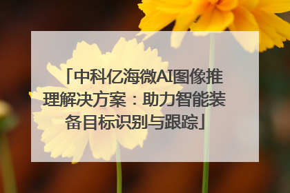 中科亿海微AI图像推理解决方案：助力智能装备目标识别与跟踪