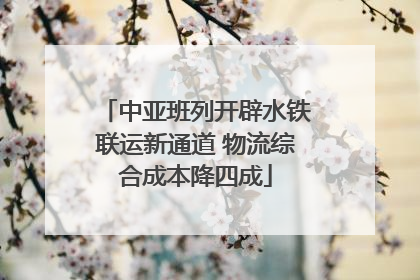 中亚班列开辟水铁联运新通道 物流综合成本降四成