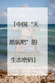 中国“天然氧吧”的生态密码