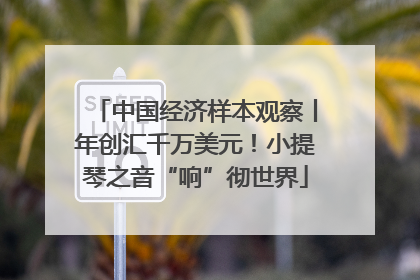 中国经济样本观察丨年创汇千万美元！小提琴之音“响”彻世界