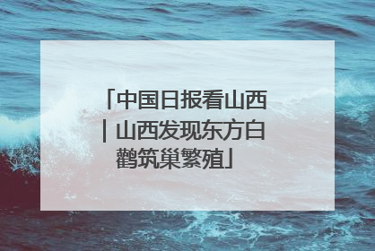 中国日报看山西｜山西发现东方白鹳筑巢繁殖