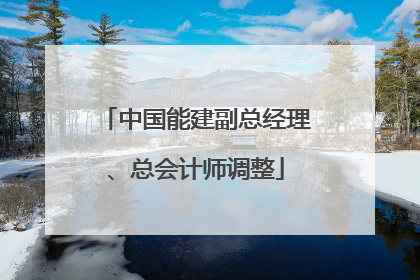中国能建副总经理、总会计师调整