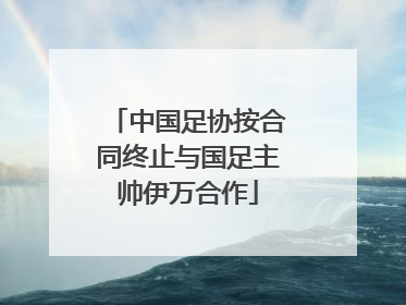 中国足协按合同终止与国足主帅伊万合作