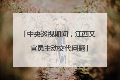 中央巡视期间，江西又一官员主动交代问题