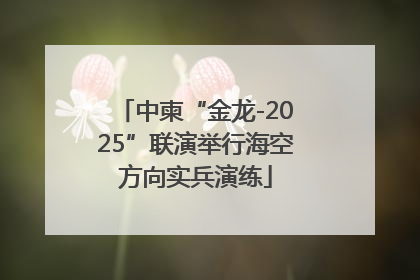 中柬“金龙-2025”联演举行海空方向实兵演练