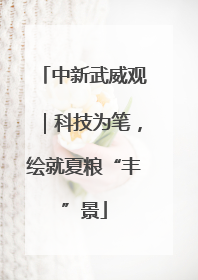 中新武威观｜科技为笔，绘就夏粮“丰”景