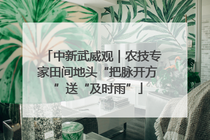 中新武威观｜农技专家田间地头“把脉开方”送“及时雨”
