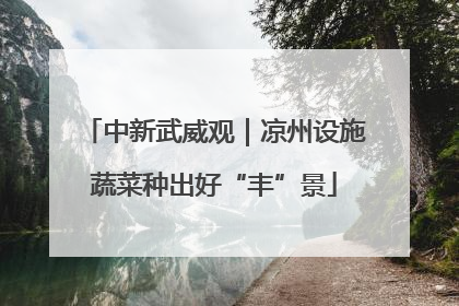 中新武威观｜凉州设施蔬菜种出好“丰”景