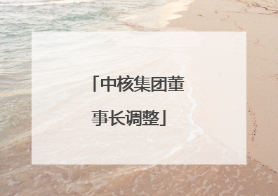 中核集团董事长调整