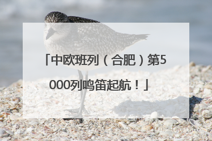 中欧班列（合肥）第5000列鸣笛起航！